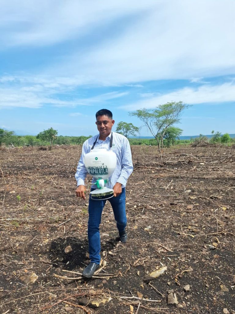 preparación del suelo para la siembra al voleo