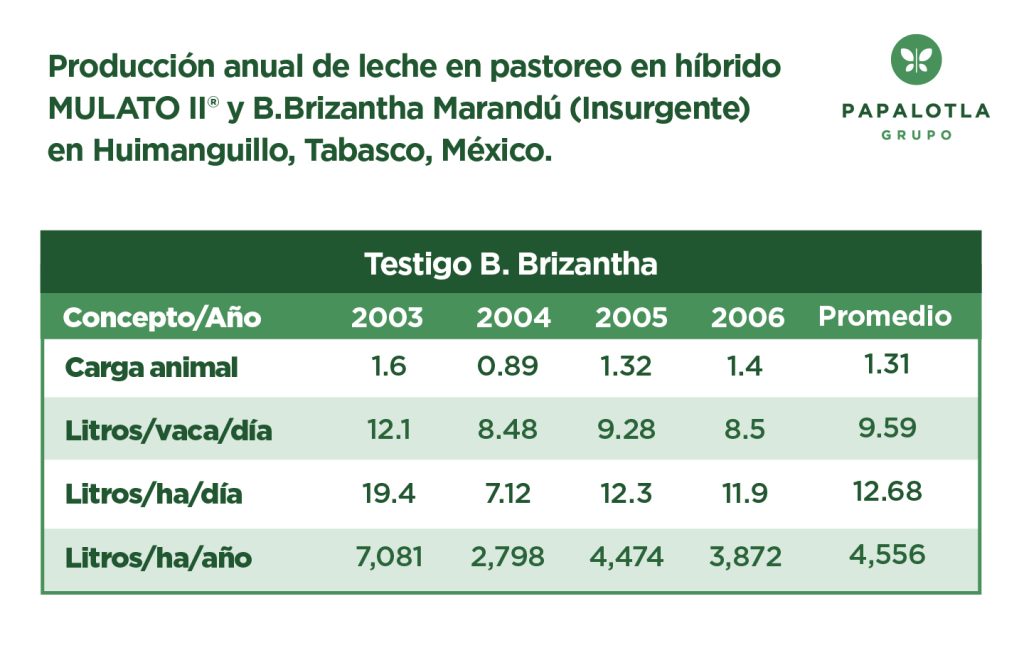 productividad lechera